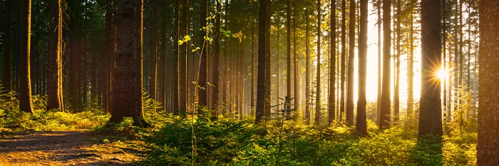 Wspólnota Braci Zewnętrznych Zgromadzenia Zmartwychwstania Pana Naszego Jezusa Chrystusa w Złocieńcu